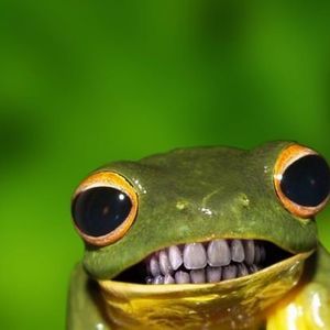 Meet your Posher, Gary